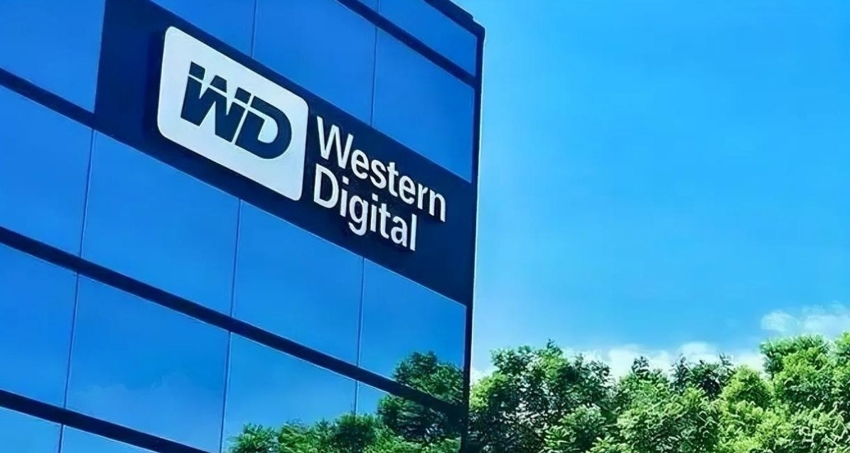 大惊喜！外网玩家2600元“捡漏”11块西部数据8TB硬盘