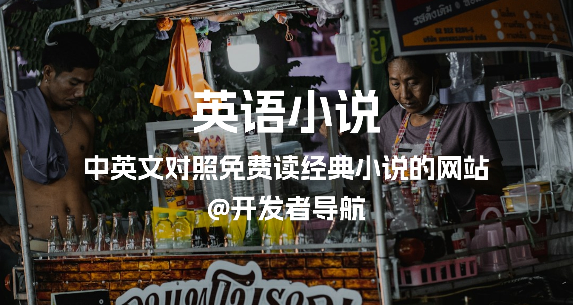 中英文对照免费读经典小说：英语小说网