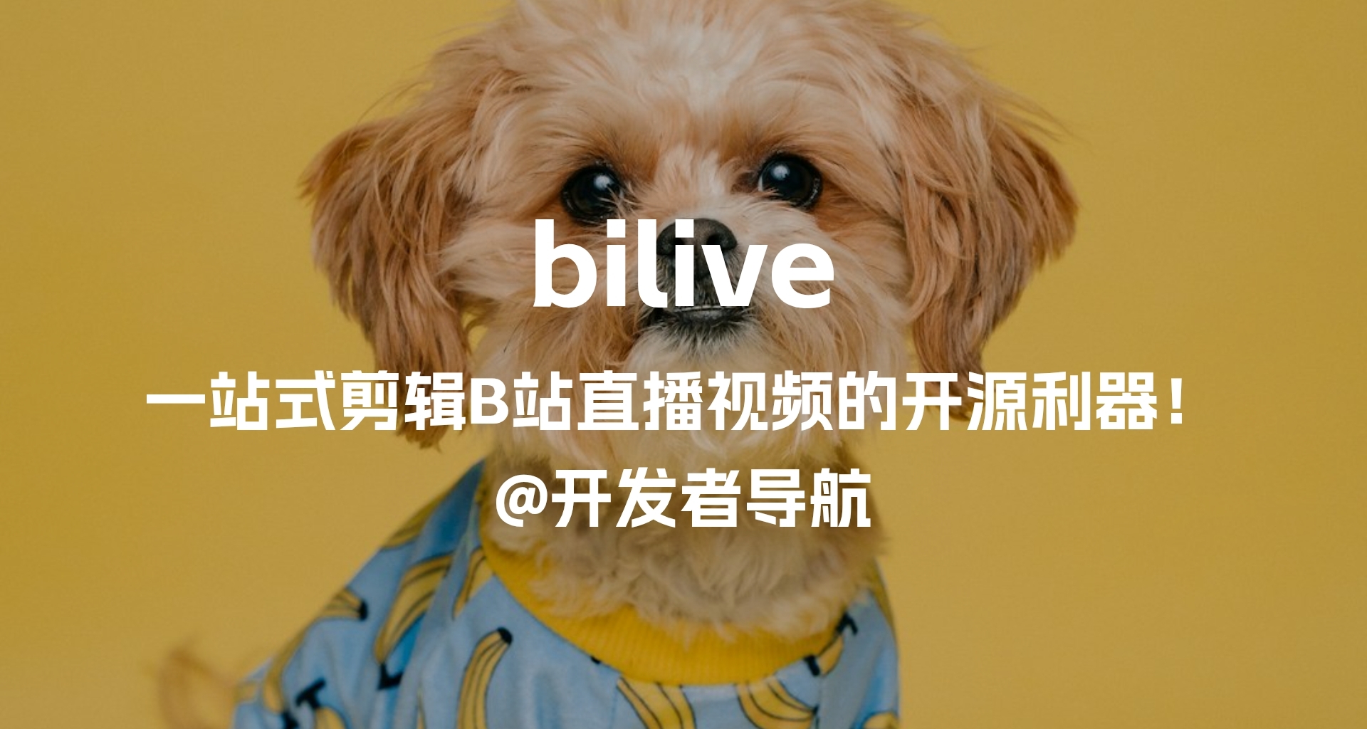 一站式自动化剪辑B站直播视频的开源利器：bilive
