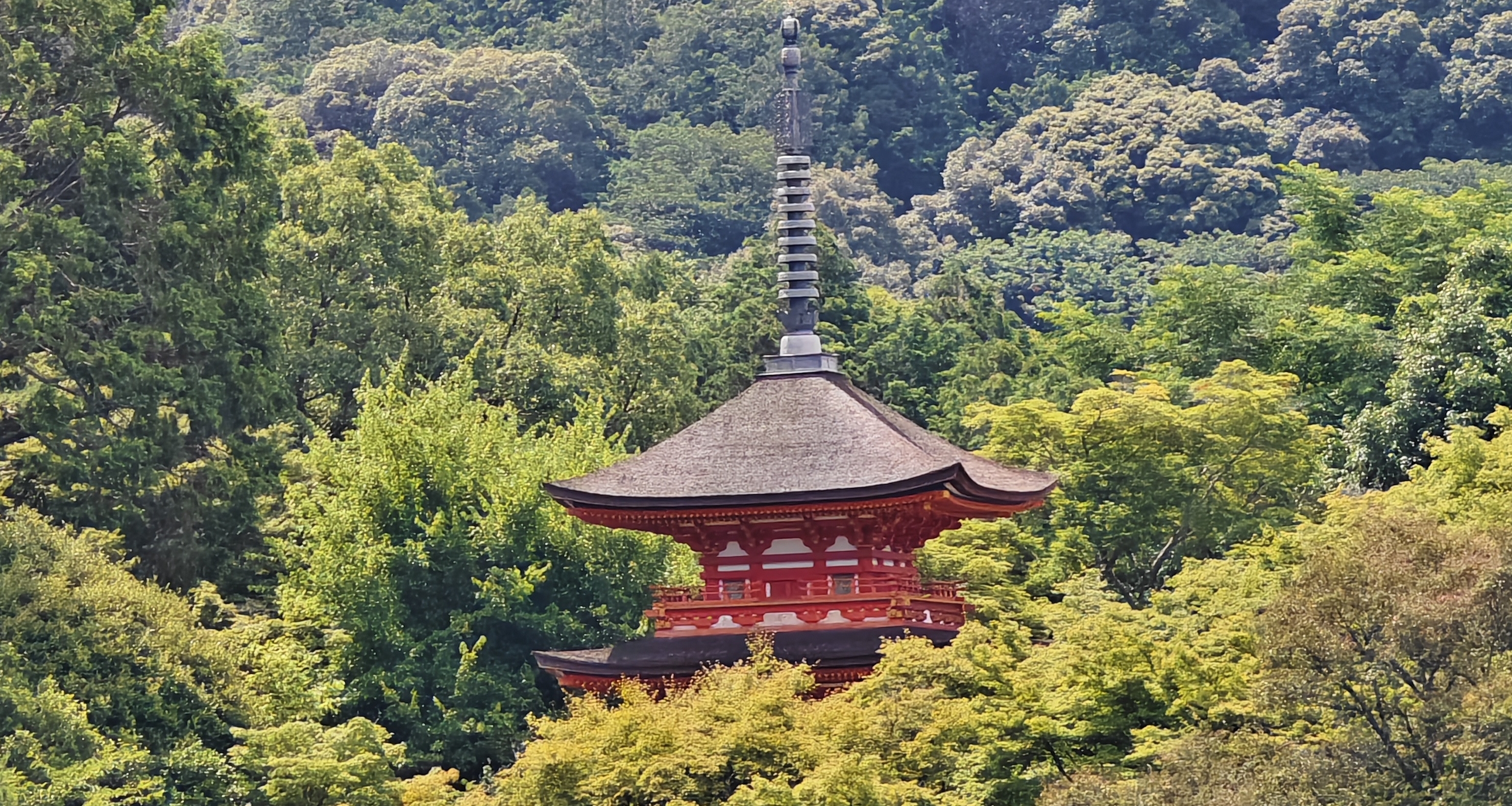 关西六日，阪进阪出，旅行杂谈