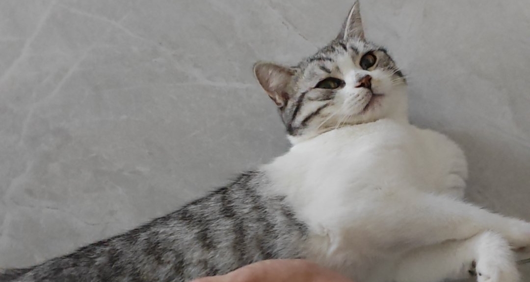 是什麼磨滅了遊戲的熱情？