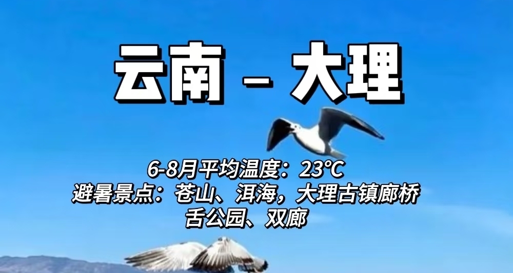 不中~不中~太熱了！雲南大理夏日出逃指南:在20℃的慢時光裏治癒~