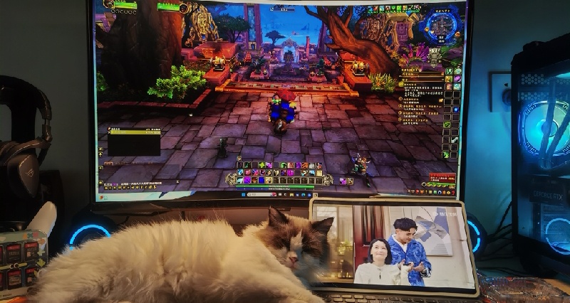 有猫有电竞房为啥要找对象