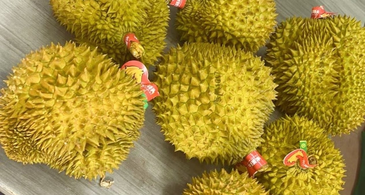 歌手连吃7颗榴莲次日中风送医，满嘴榴莲味成诊断线索