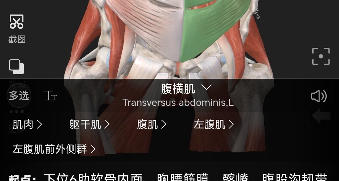 健身之中增肌與減脂的底層邏輯和常見誤區④
