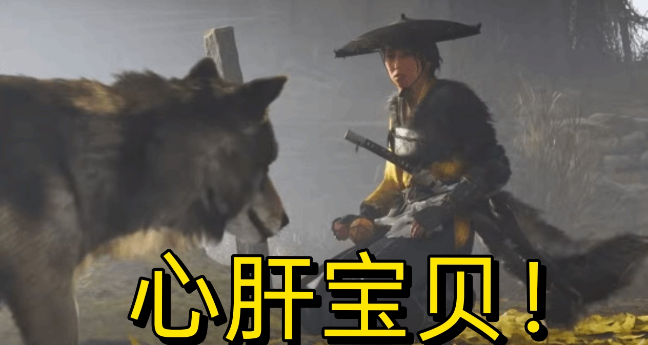 《羊蹄山》女主演員深情安利狼夥伴：“這是我的心肝寶貝！”