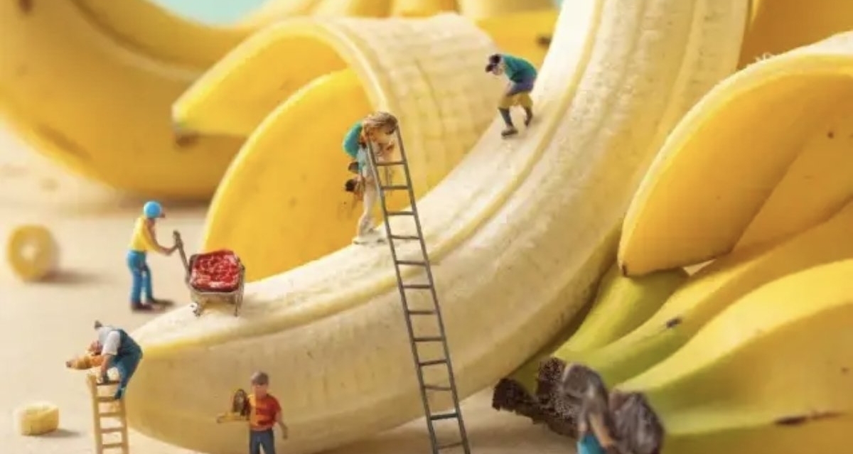 香蕉🍌巴呐呐？你跟我说香蕉是草？确定不是树🌳？