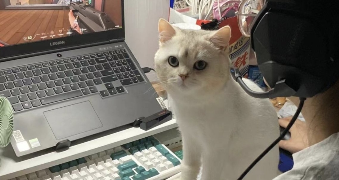 设备升级！终于成为完全体了！！