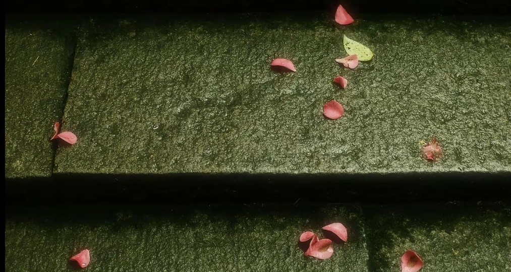 做个词人真绝代，可怜薄命做君王，今天带来的是李煜的故事