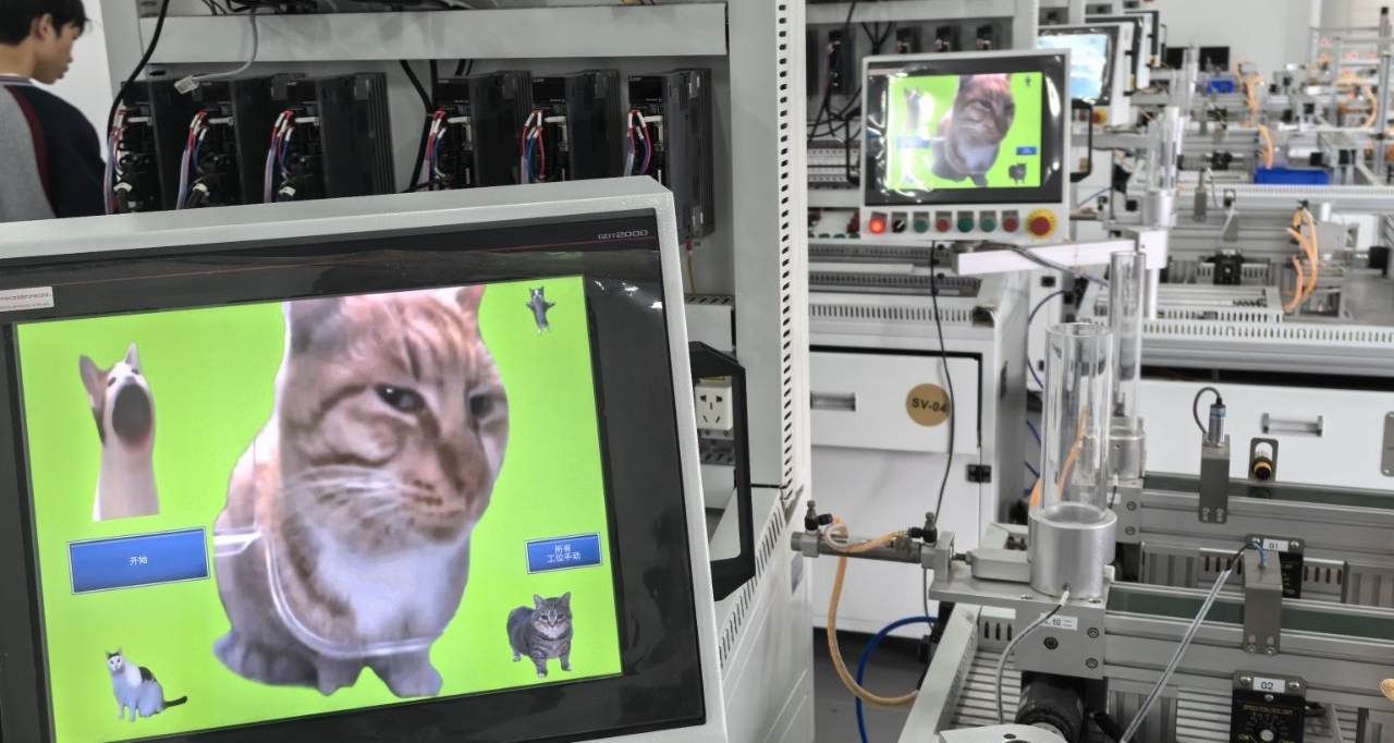 这谁干的差点笑死我了[cube_笑cry]