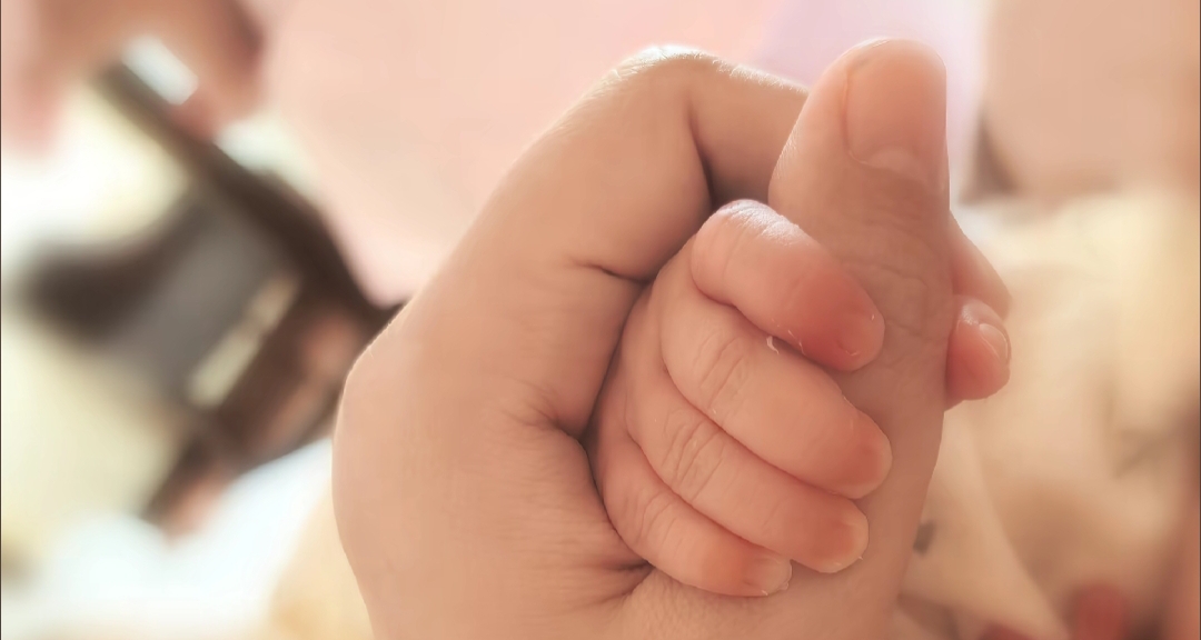 知名主播女流生子，開啓人生新階段！
