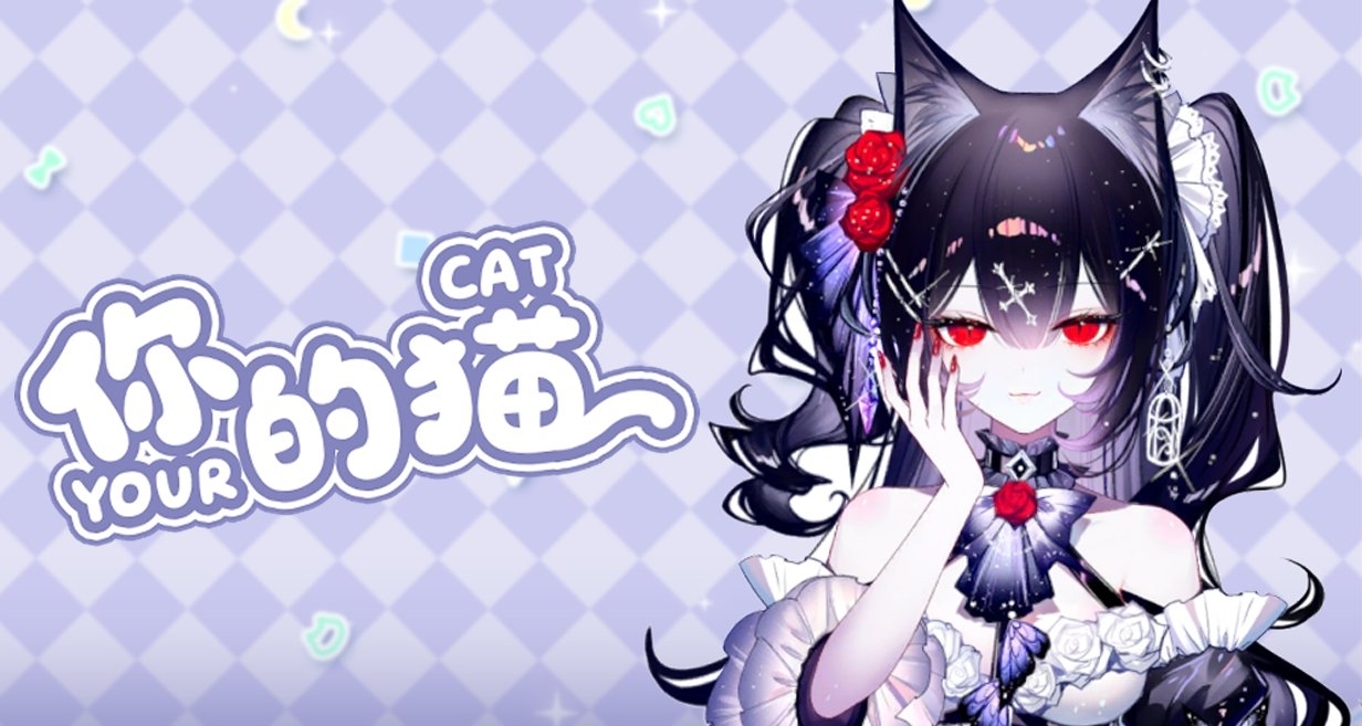 《你的朋友在玩你的貓》