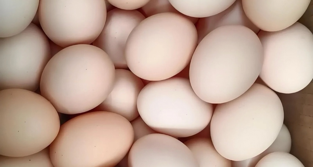 喝奶茶不如吃鸡蛋？抽象文学“气活”秦始皇