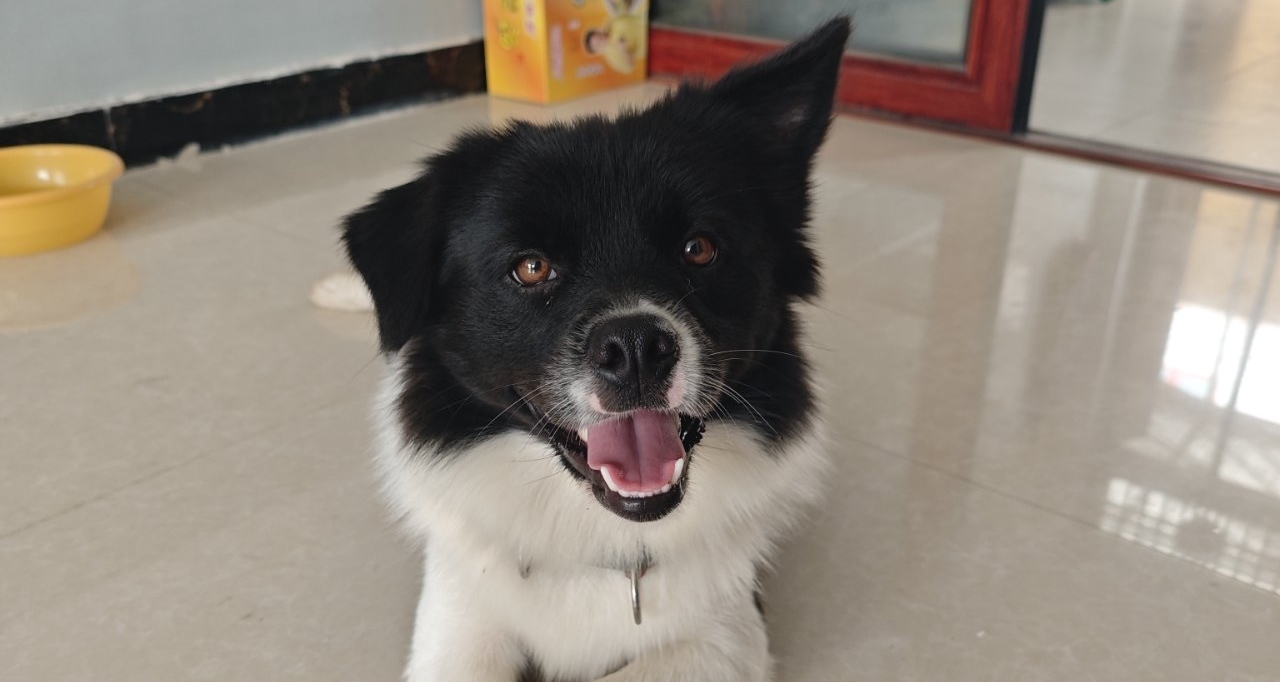 10月8日或许是我此生经历过的最难受的一天