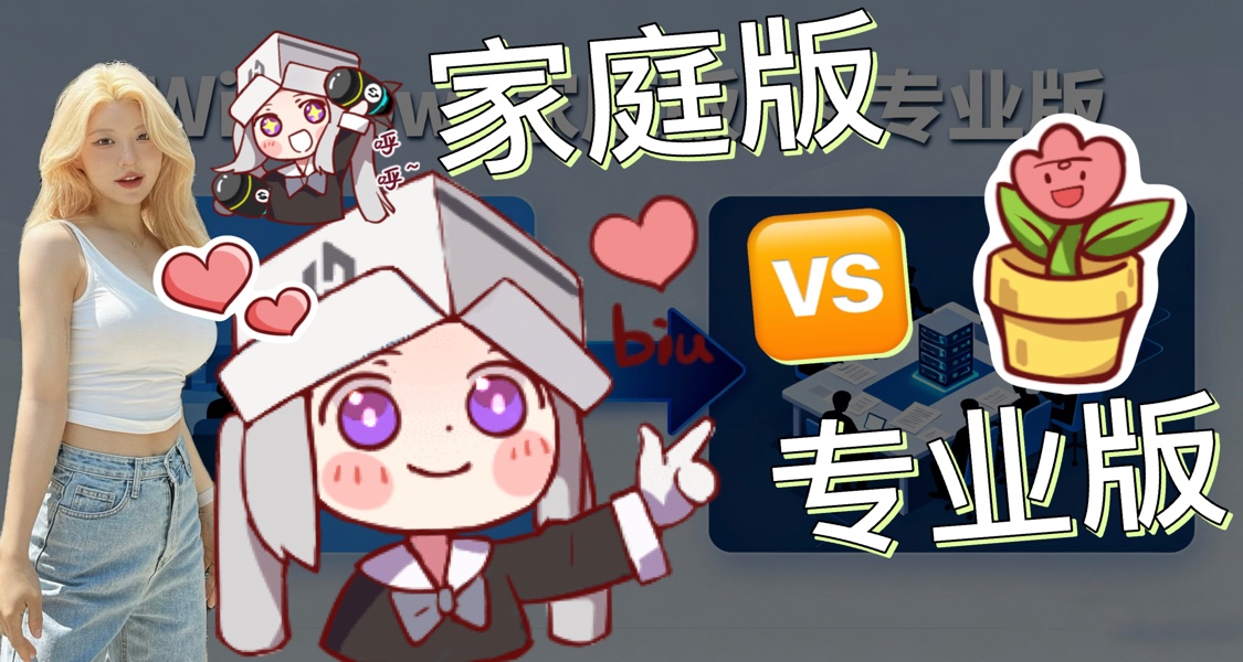 ▶ Windows家庭版 vs 专业版 （含激活教程）