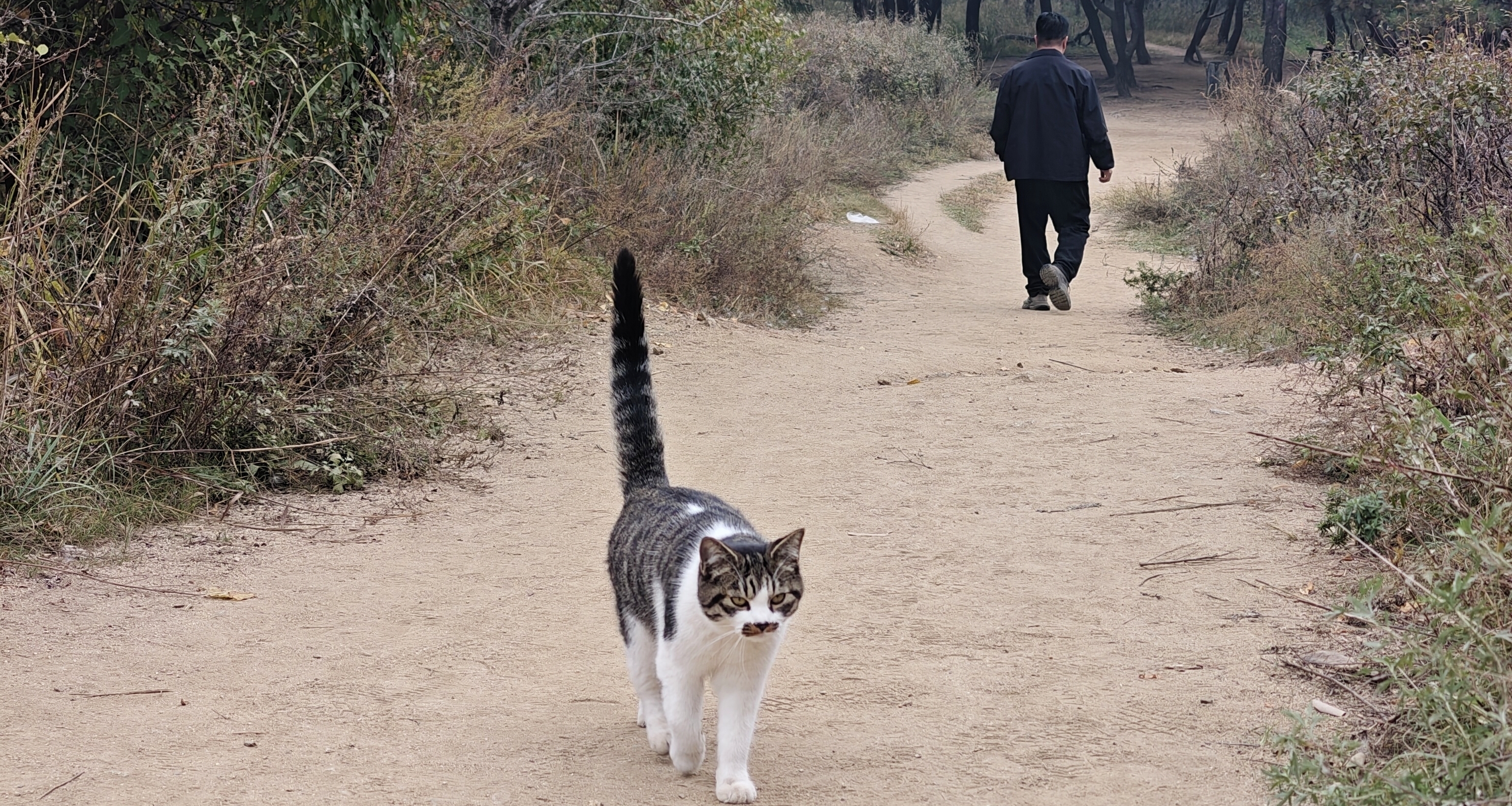 世界没有那么糟
