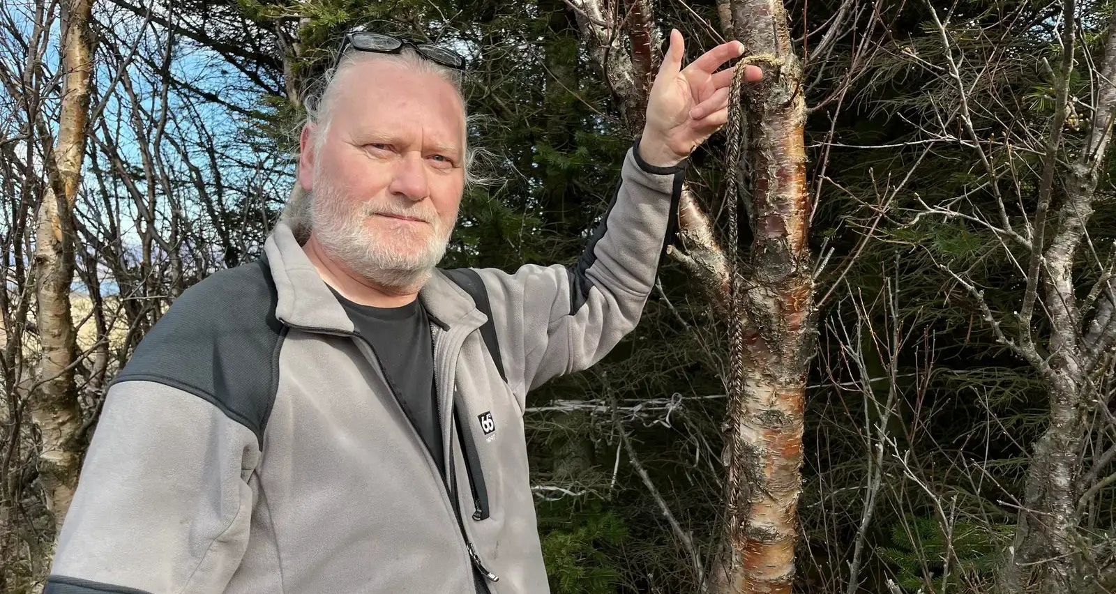 “無蚊國度”神話破滅，冰島確認首次在野外捕獲蚊子