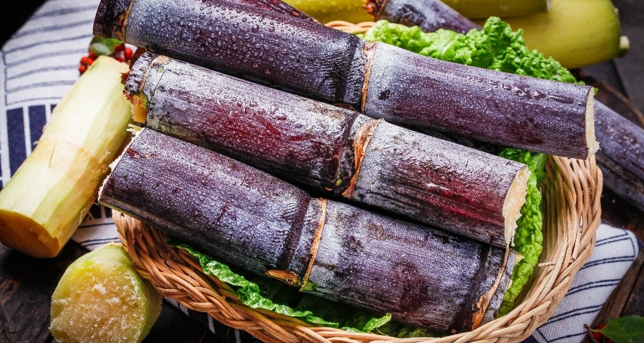 绍兴现“可偷甘蔗地”成网红打卡点，20天收“偷款”超6000元