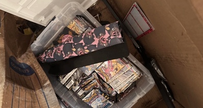 宝可梦卡牌收藏家遭污水管爆裂!数千美元藏品毁于一旦!