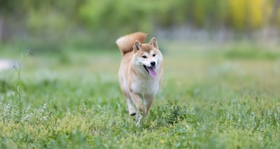 不懂的一次抉择