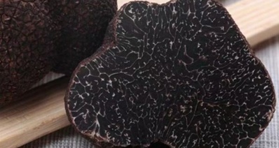 雲南怒江發現全國最重黑松露,最高出價5萬元!