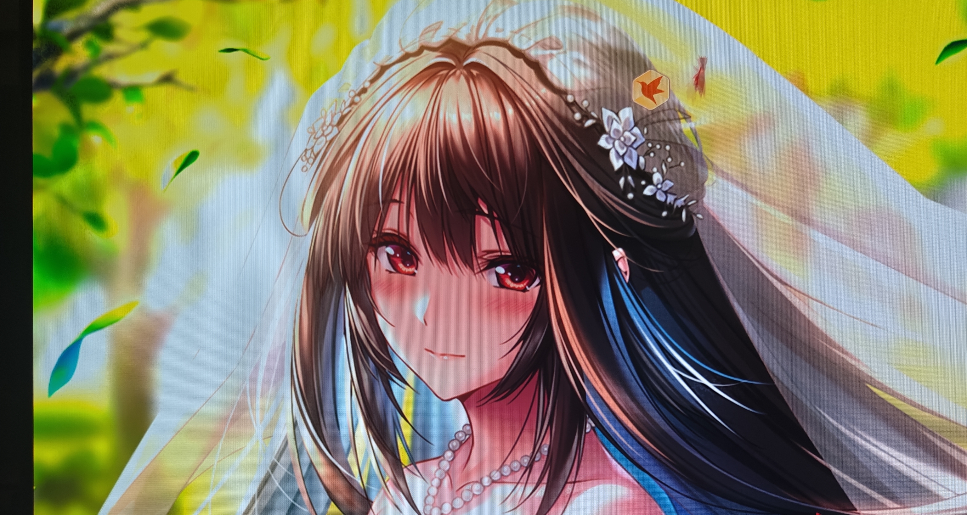 終於折騰完了，從miniled換到OLED電視