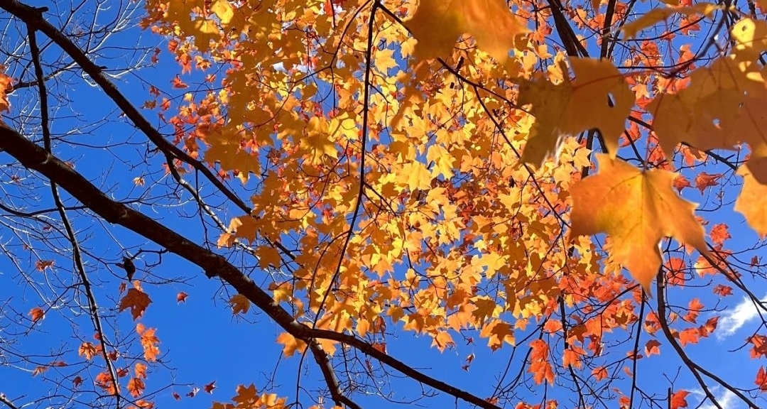 一代人有一代人的出逃方式[cube_笑cry]