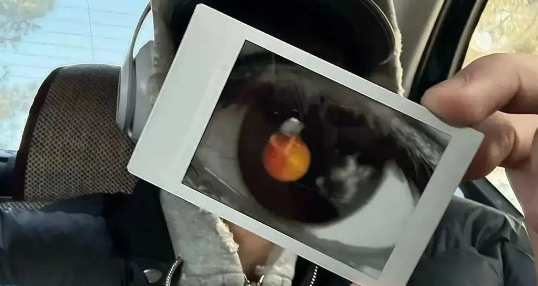 如何提升自己的穿搭能力