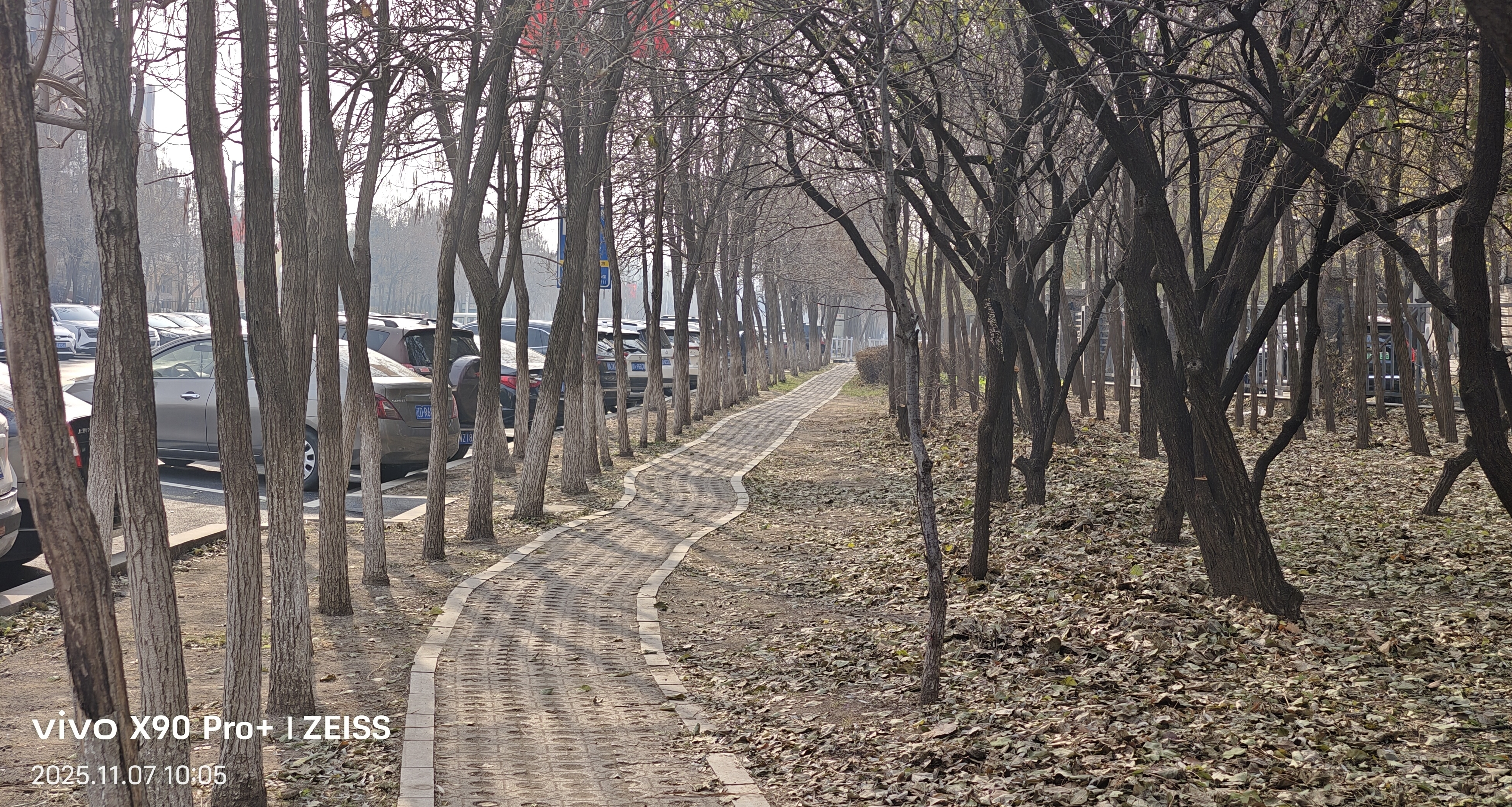 立冬，講一件職場趣事兒