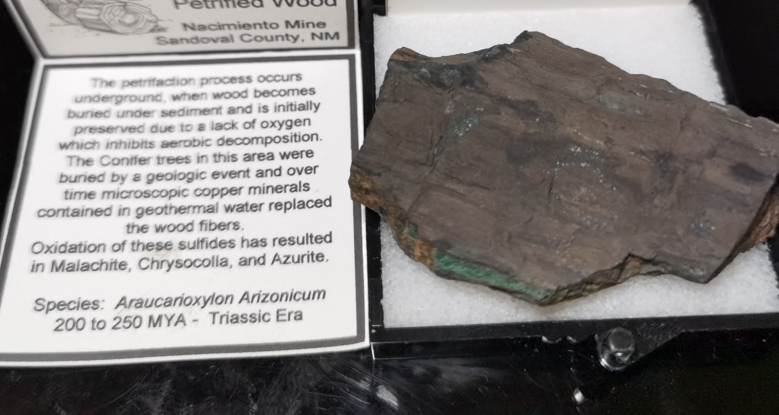 探機時刻 都說是金玉良緣 俺只念木石前盟