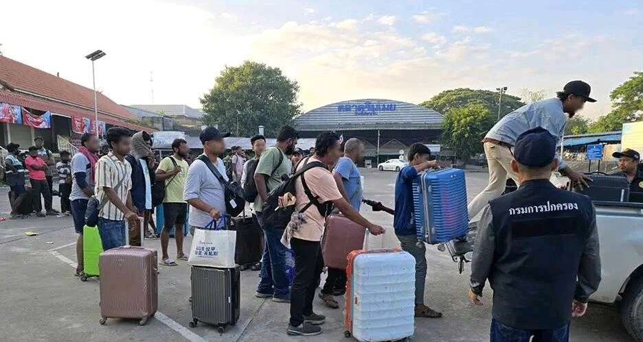 小楊哥出海撈金，三隻羊即將殺入巴西！