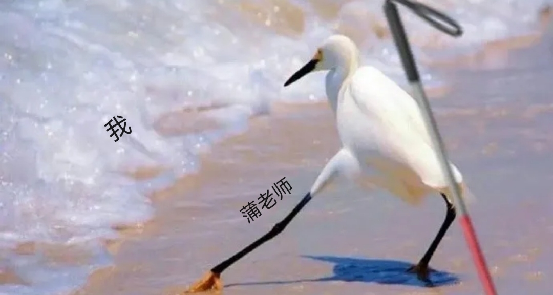 是的这就是我和我兄弟的日常（14）