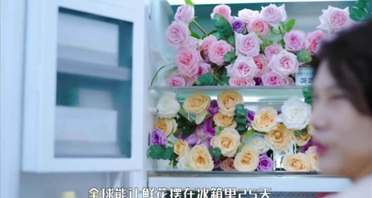 董明珠：格力冰箱鮮花保鮮25天還是鮮花！技術全球唯一