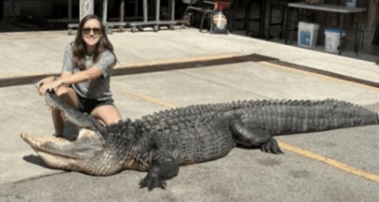 美國女子產後5個月捕獲3.6米巨鱷，計劃製成地毯與香腸