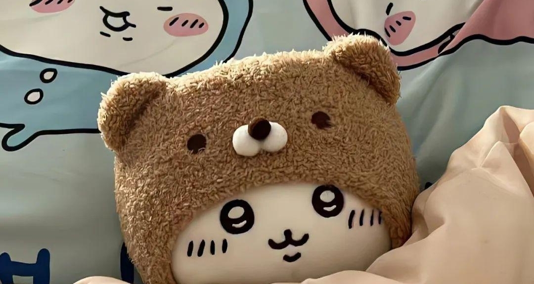 【撈點乾貨】考公上岸後的日子（衣食住行篇）