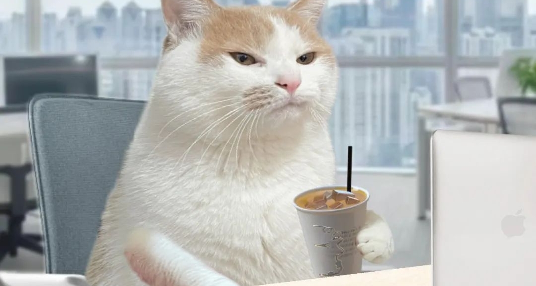 《雜七雜八》之個人電腦軟件