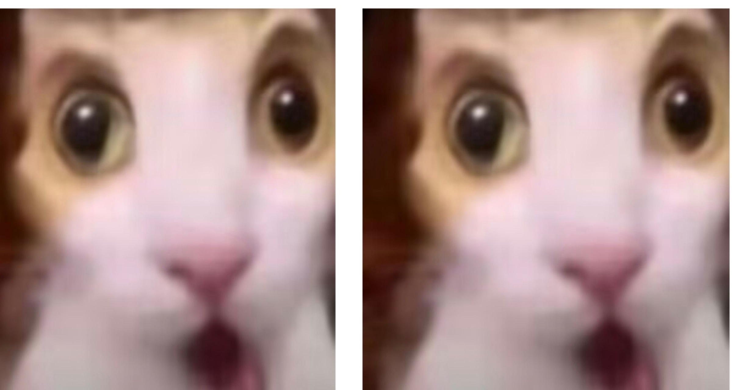 补适，这标题是人类的文字吗？