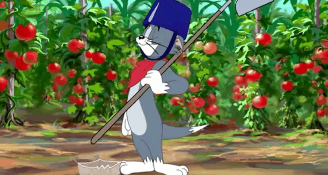 老年轻人单机养草游戏推荐！！！