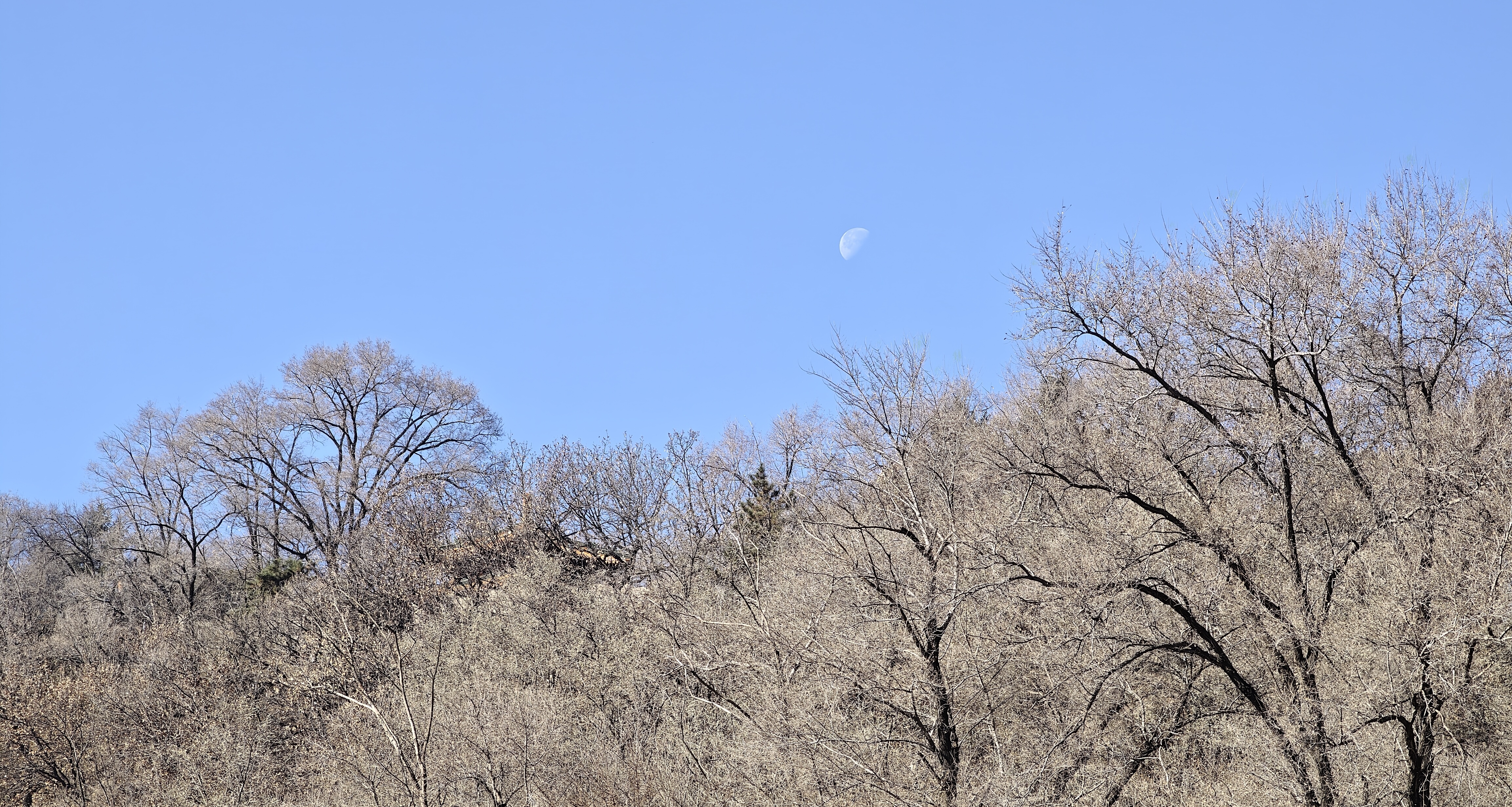 此處，無我所尋