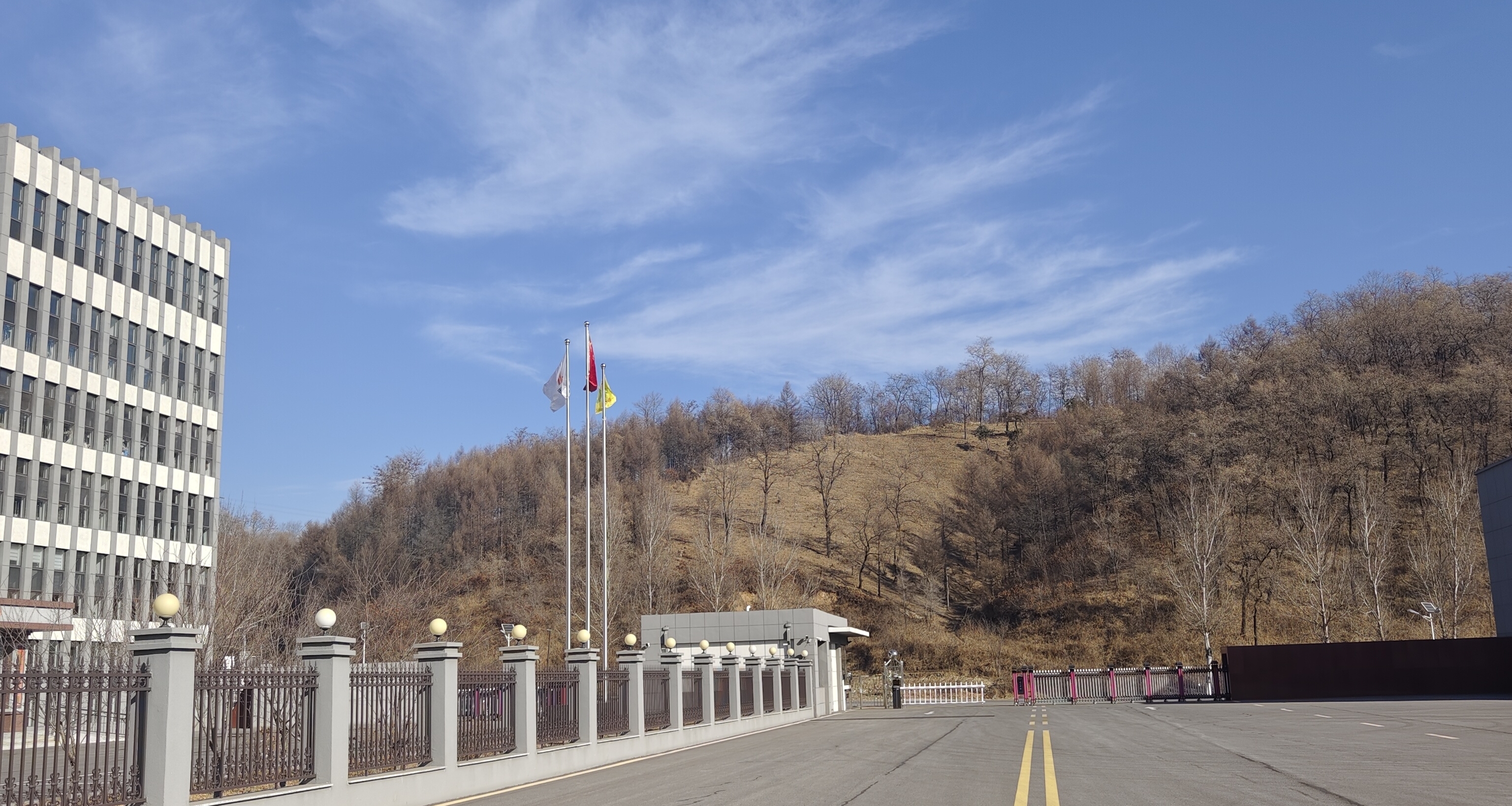 股市里，哪有听劝的人呀！