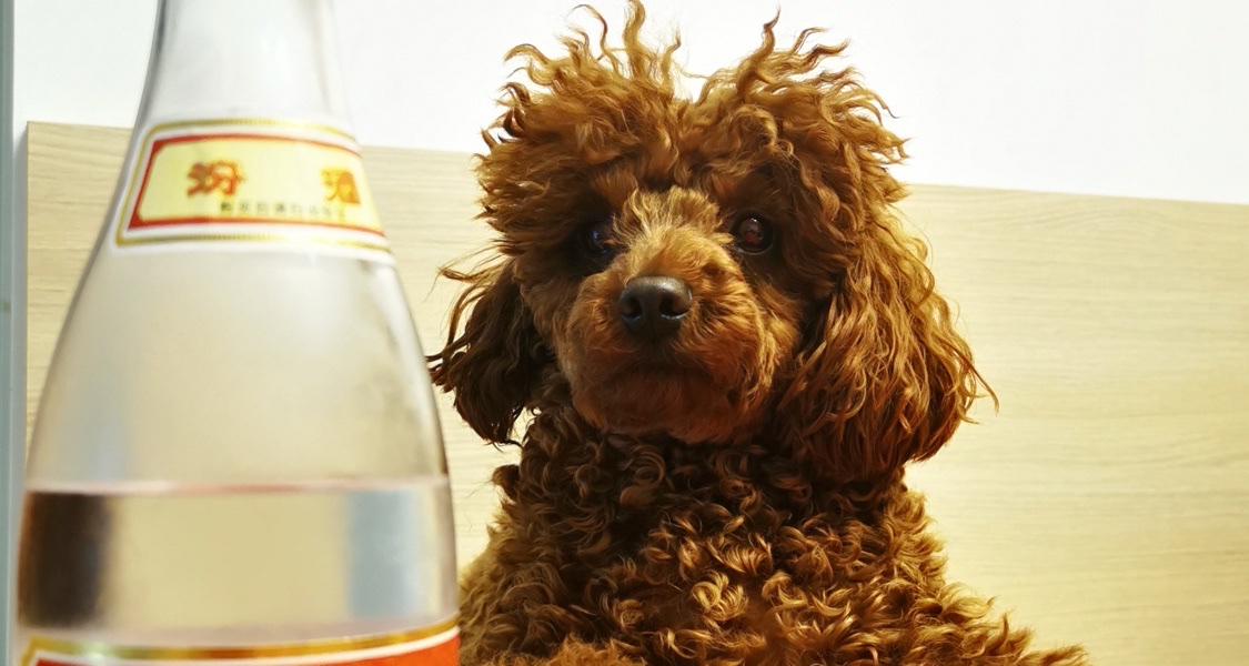 好想回到公司沒錢的時候[cube_doge]