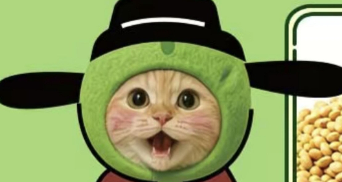 從“哈基米南北綠豆”中窺見市場先生