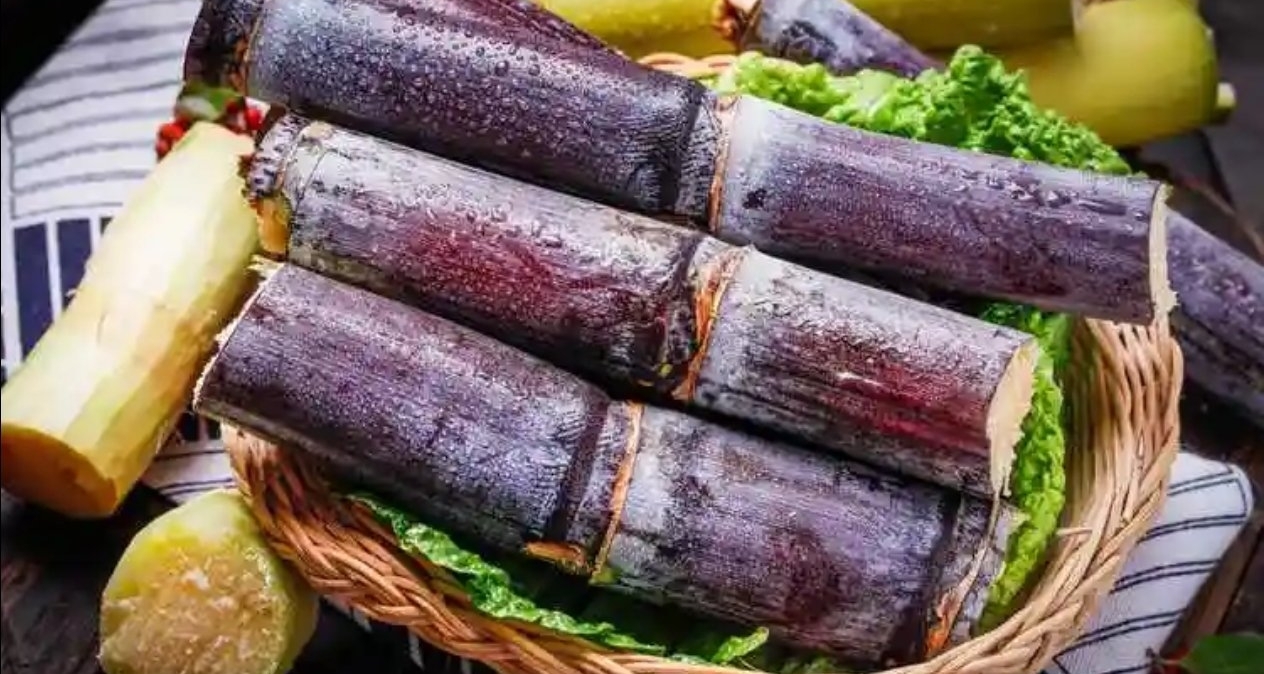 九塊九“偷”甘蔗爆火！日均客流量超千人，夜間尤爲火爆