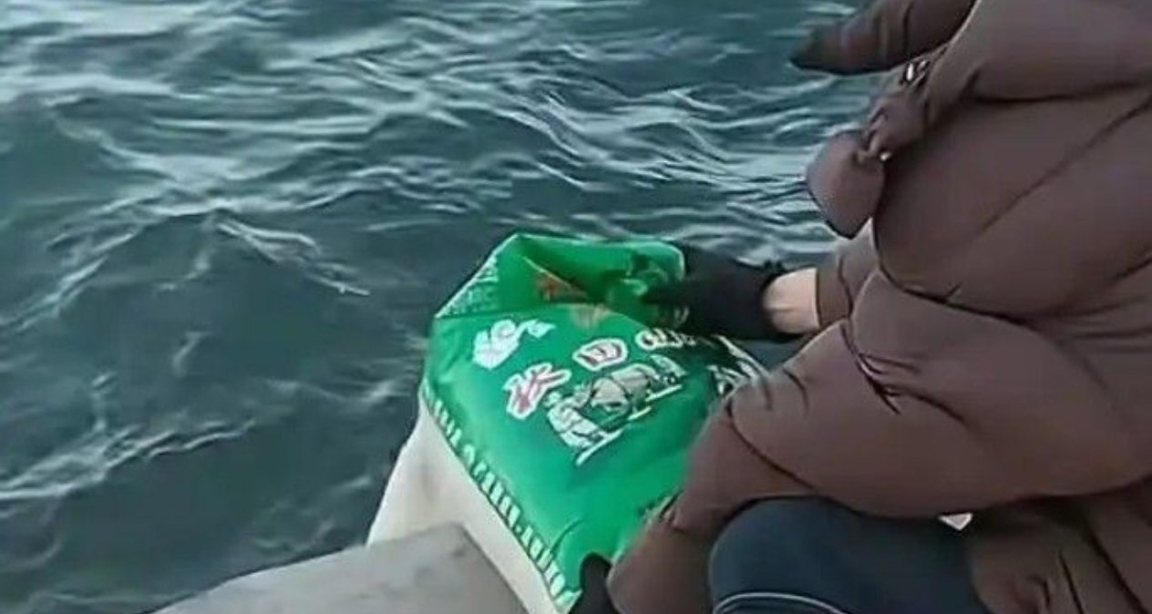 多位老人向大海里“放生”大米！官方回應：浪費糧食且污染環境