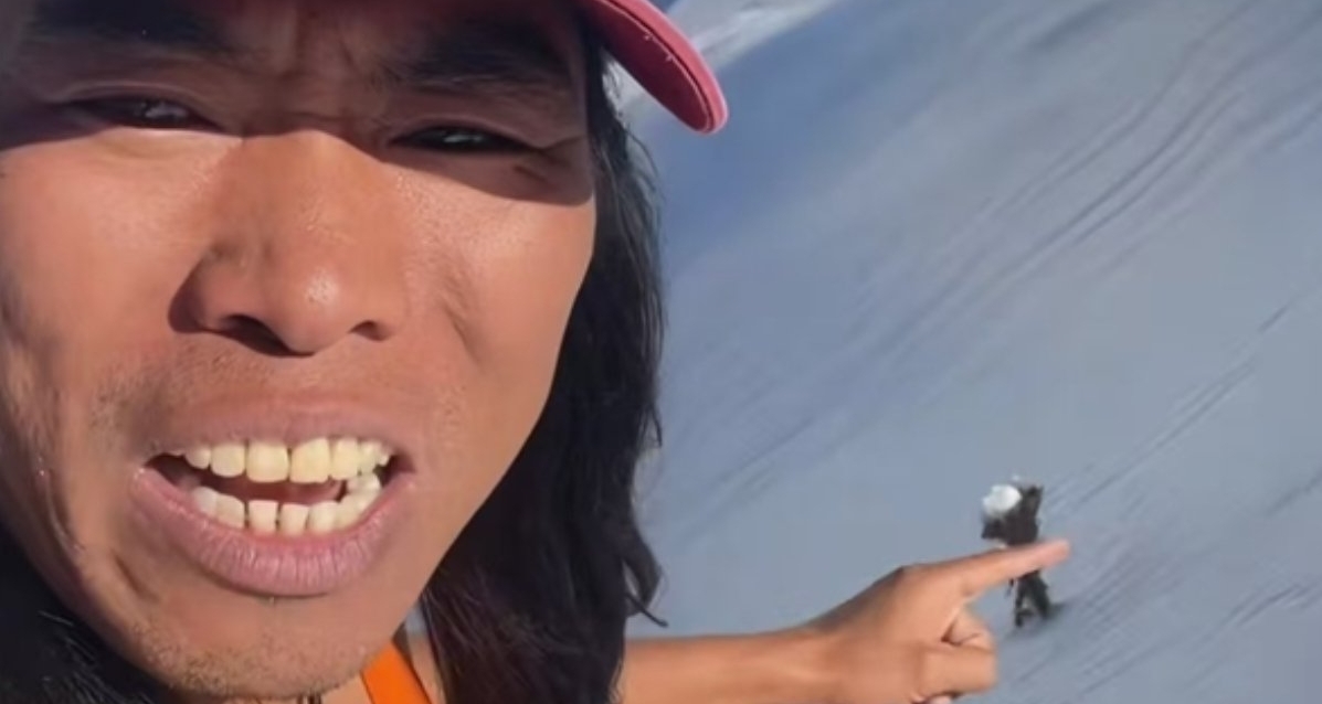 博主只穿背心勇闖6000米雪山，意外發現珍稀雪蓮花