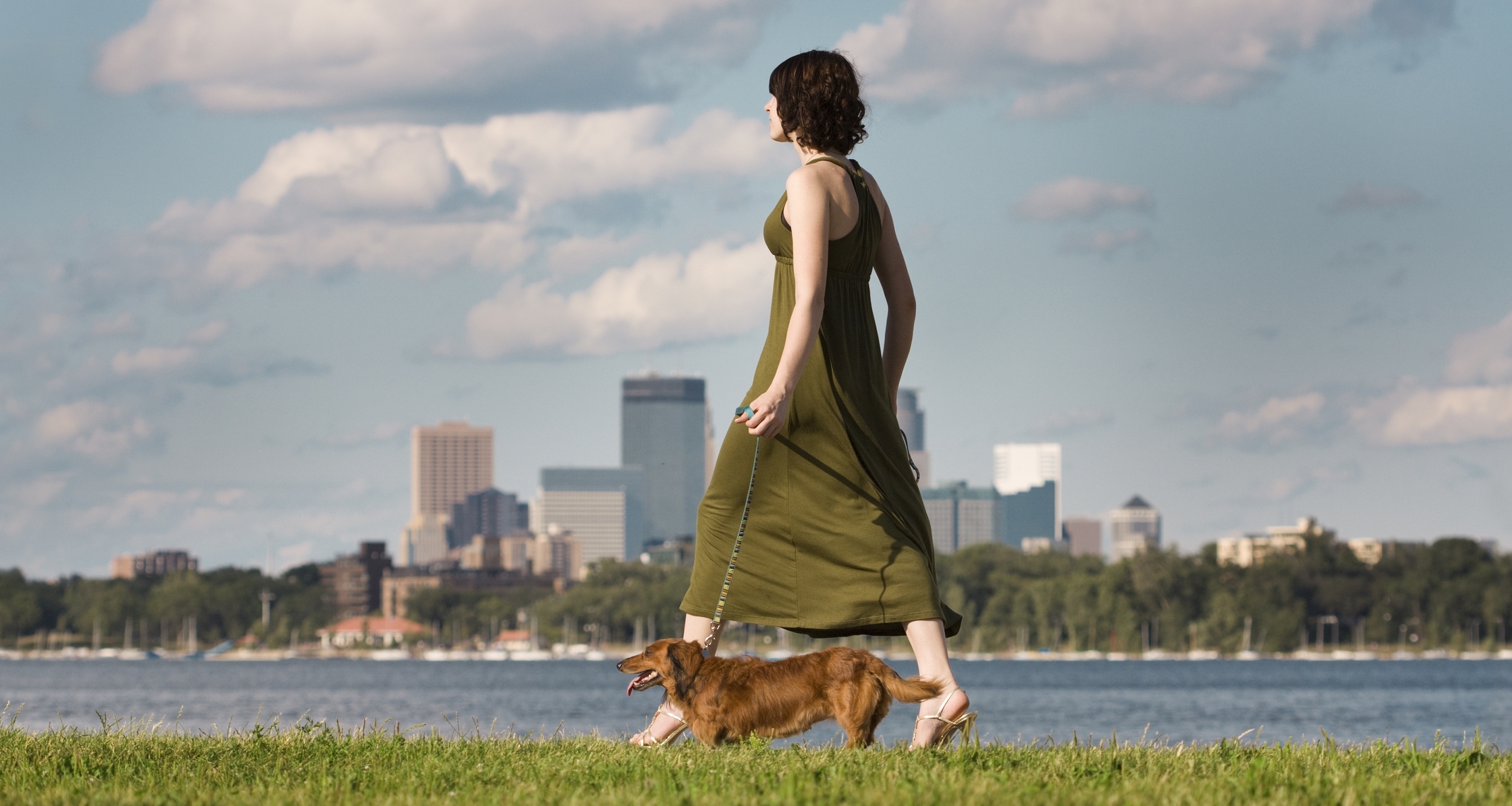 太好了，明年起遛狗不拴绳违法