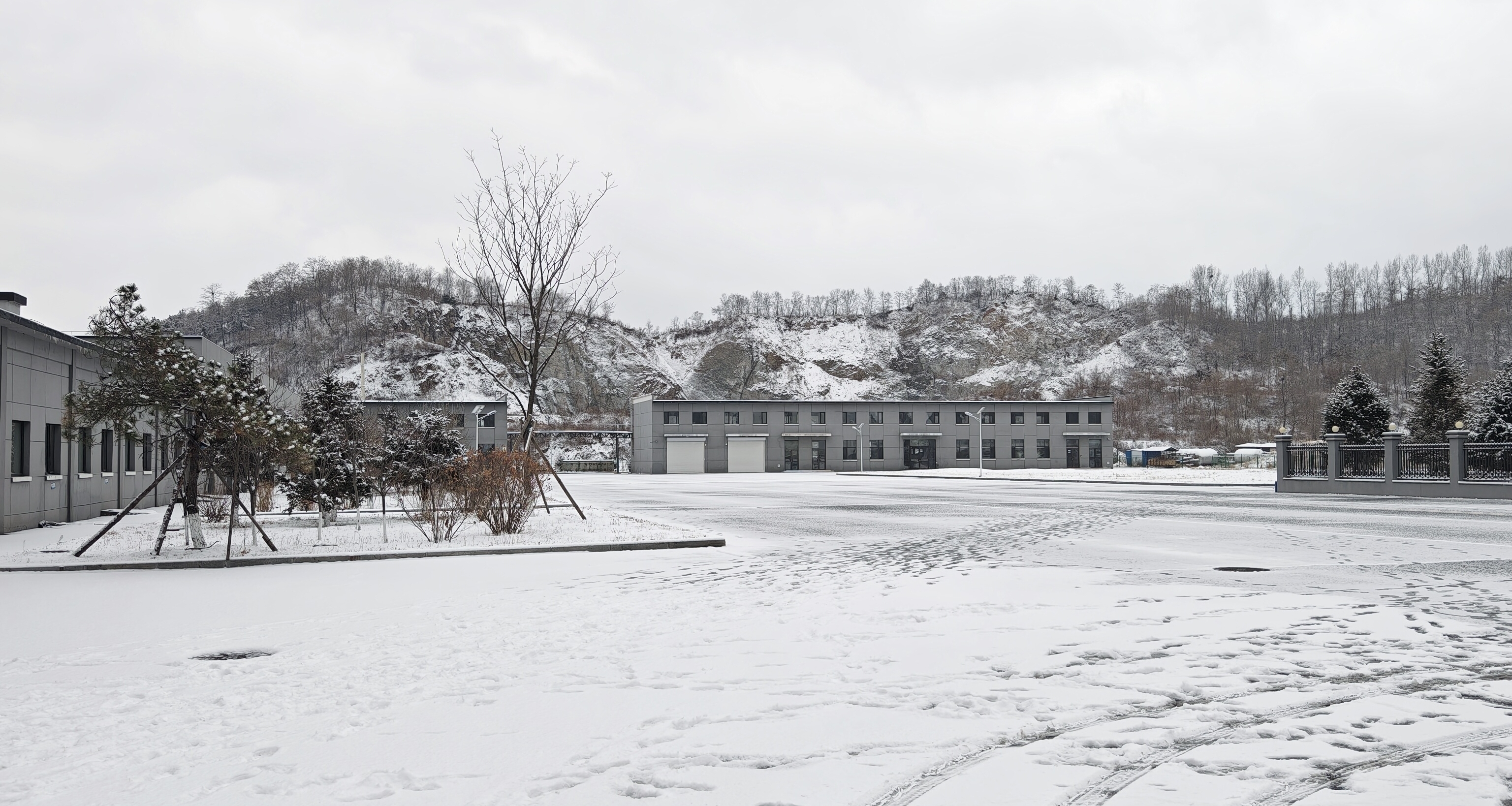 笨鳥“撈貨”記