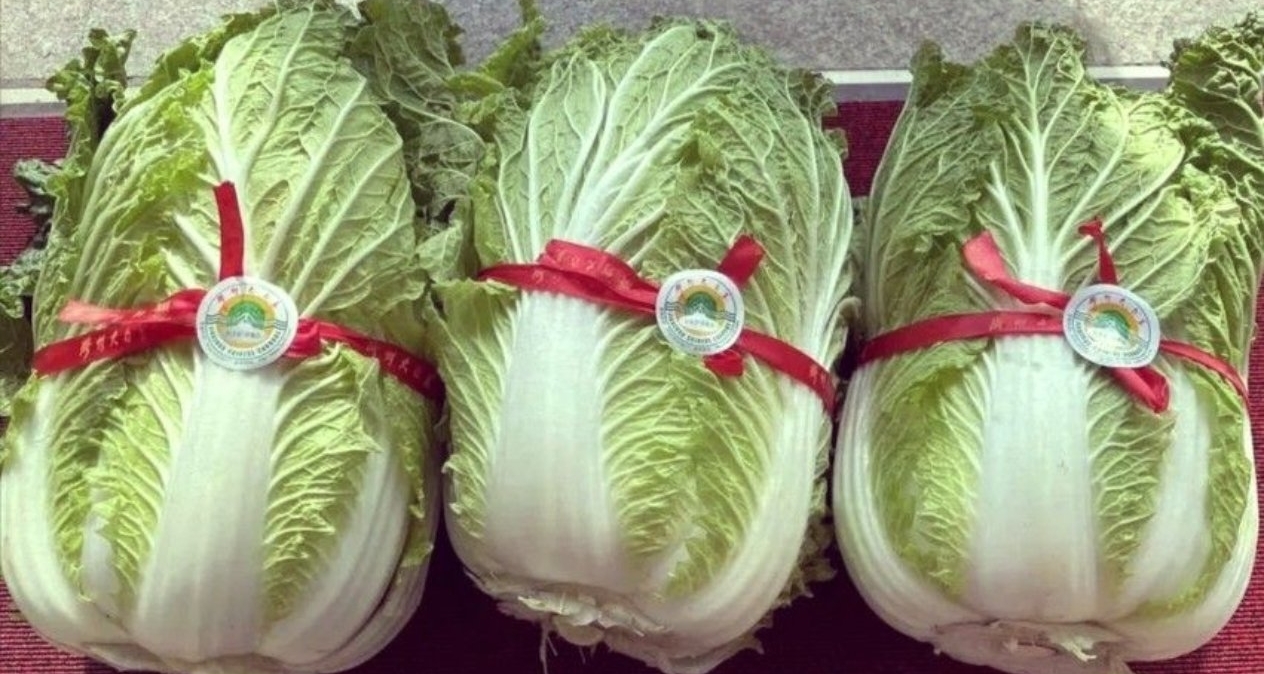 央视曝“套牌白菜”乱象：155元一棵的白菜与9毛一斤的同品种