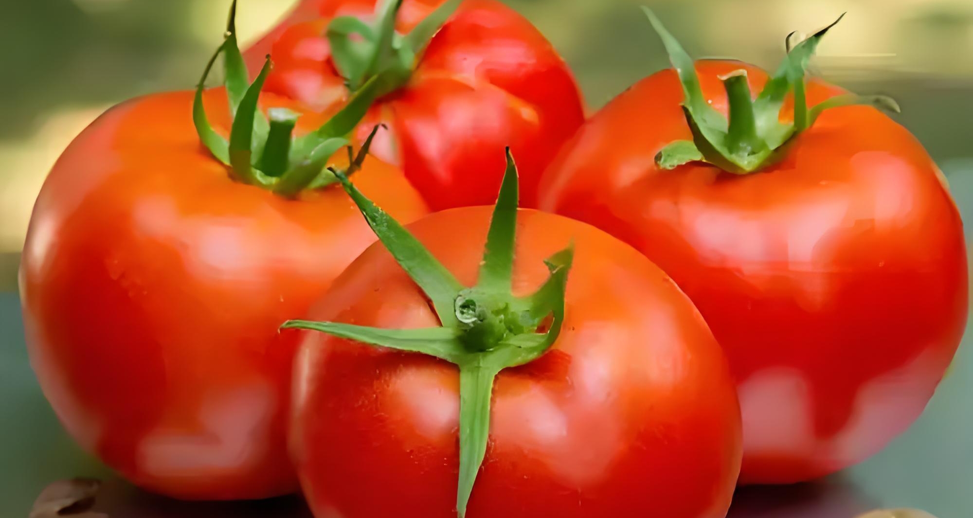 番茄居然被欧洲嫌弃了两百多年？