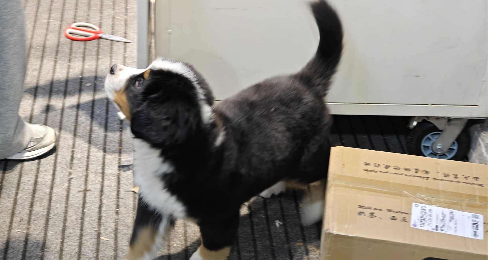 本科華爲秋招入池，記錄下我的“成長”，望與諸君共勉